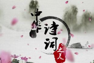 今夜的告别：月光下的深情告白